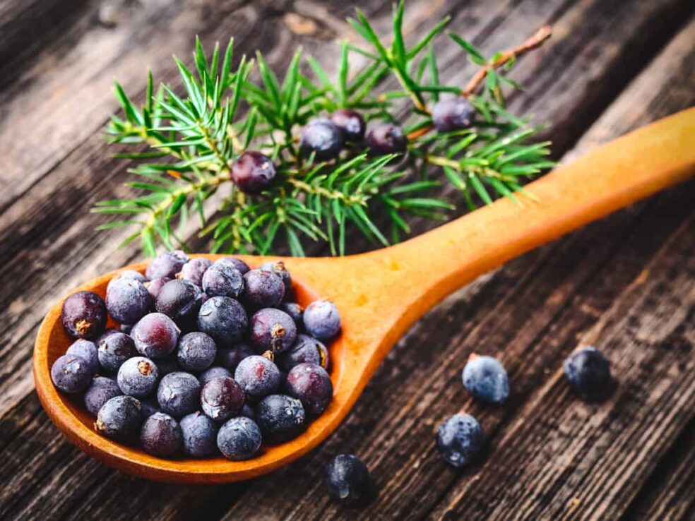 Juniper Berry prostate health, Natural ways to improve prostate health, Juniper Berry anti-inflammatory properties, Best herbs for menโs health