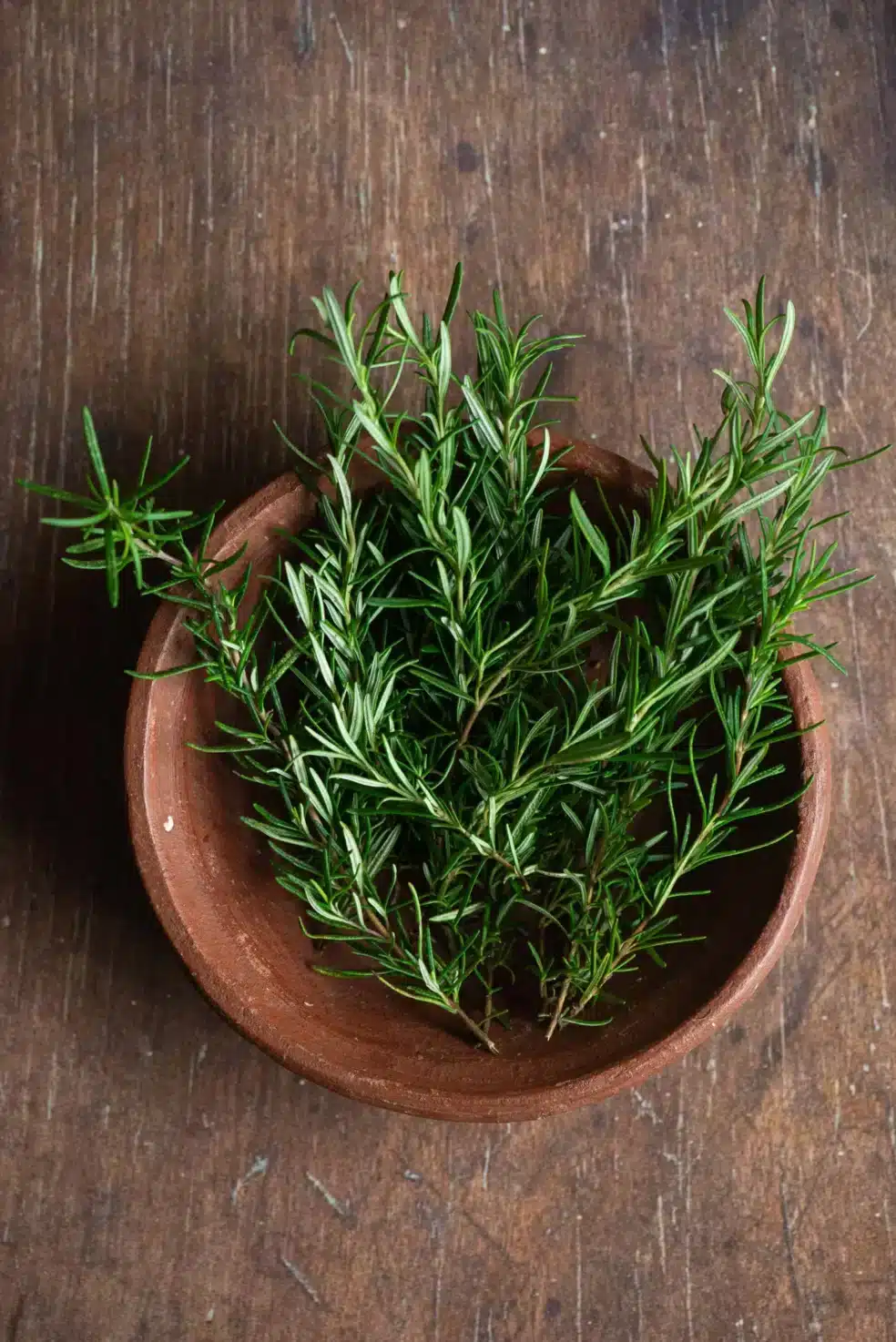 Rosemary for brain fog, natural clarity herbs, brain fog remedies, rosemary cognitive improvement