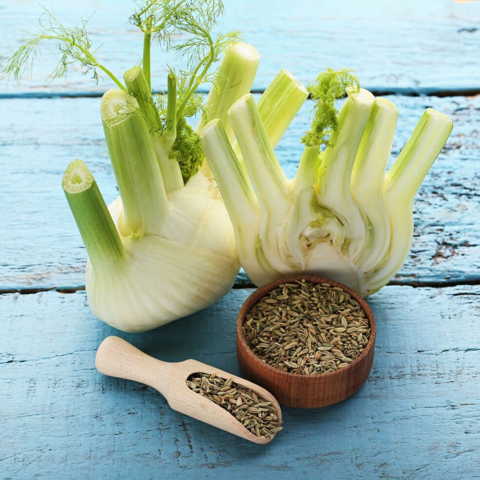 fennel seed digestion, bloating remedies, natural gas relief, fennel health benefits