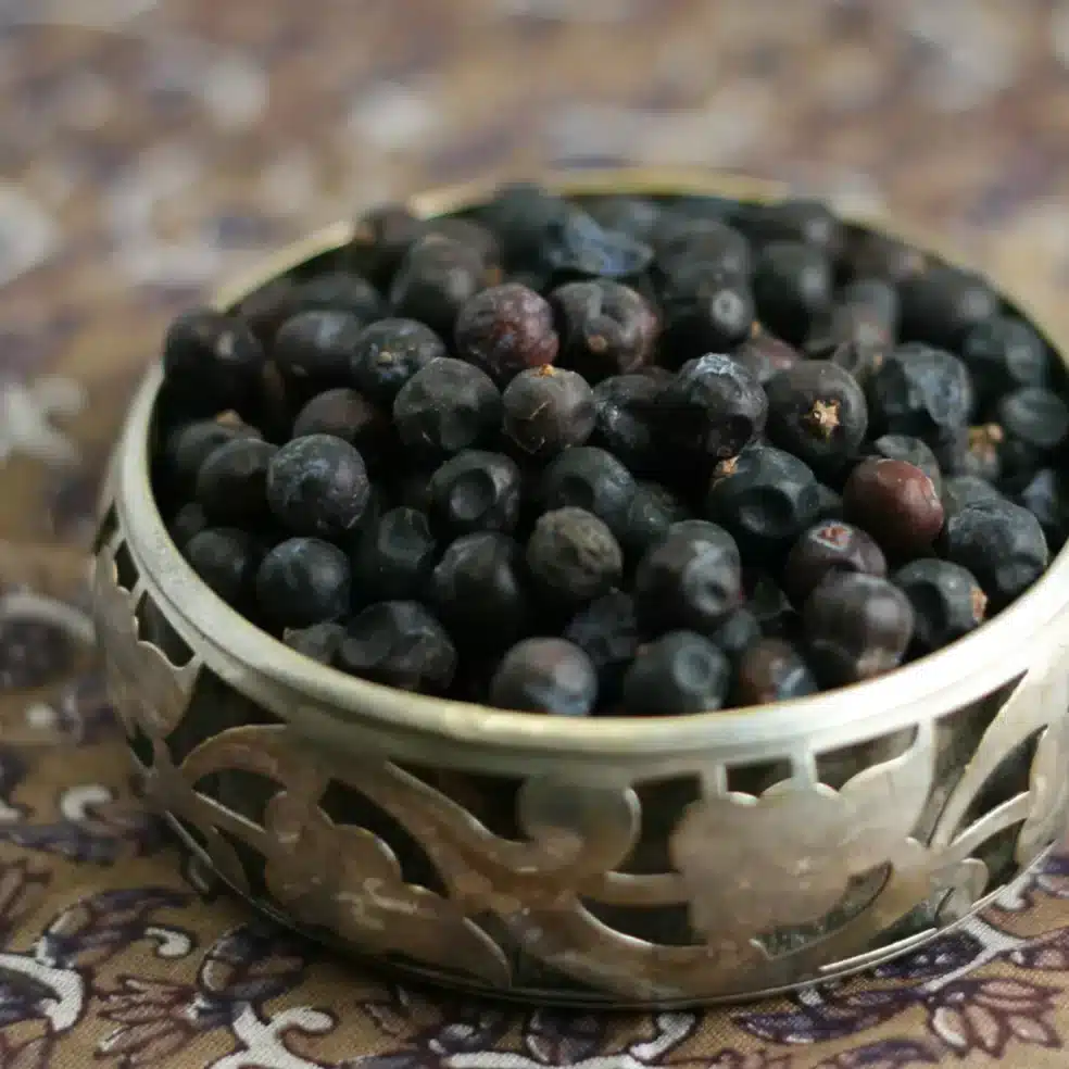 Juniper Berry recipes, kidney health meal ideas, herbal kidney recipes, detox with Juniper Berry