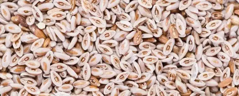 digestive health herbs, psyllium seed benefits for gut, herbal wellness remedies, psyllium fiber cleanse