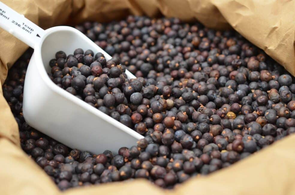juniper berries kidney health, natural kidney support, herbal remedies for kidneys