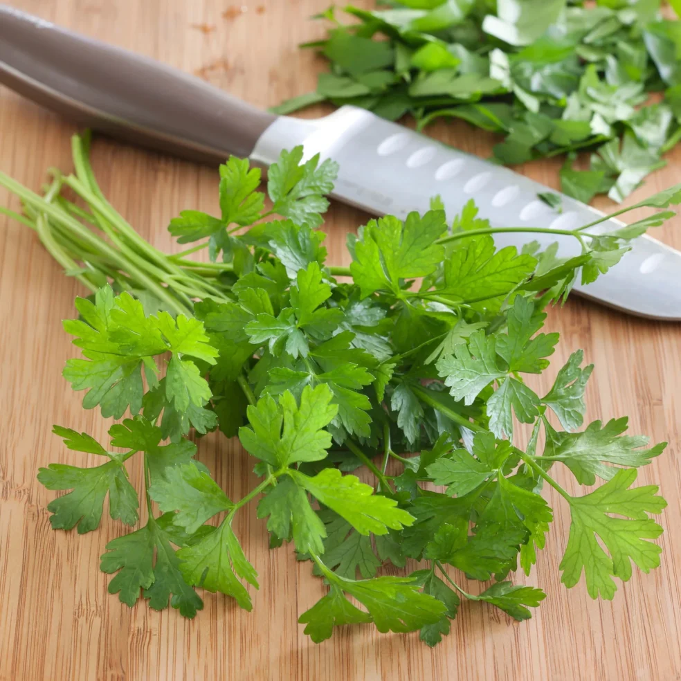 parsley for kidney stones, kidney stone natural remedy