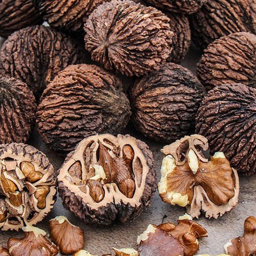 signs of parasite infection, natural cleanse for parasites, black walnut hulls detox