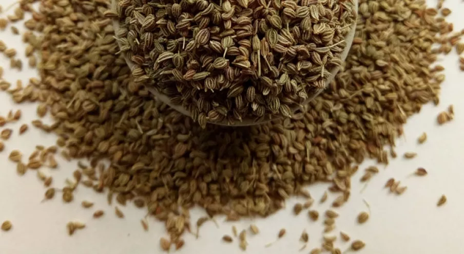 celery seed anxiety relief, calm nervous system naturally, nerve relaxant herb