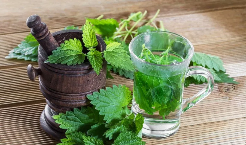 peppermint for bloating, peppermint leaf digestion, natural gas relief