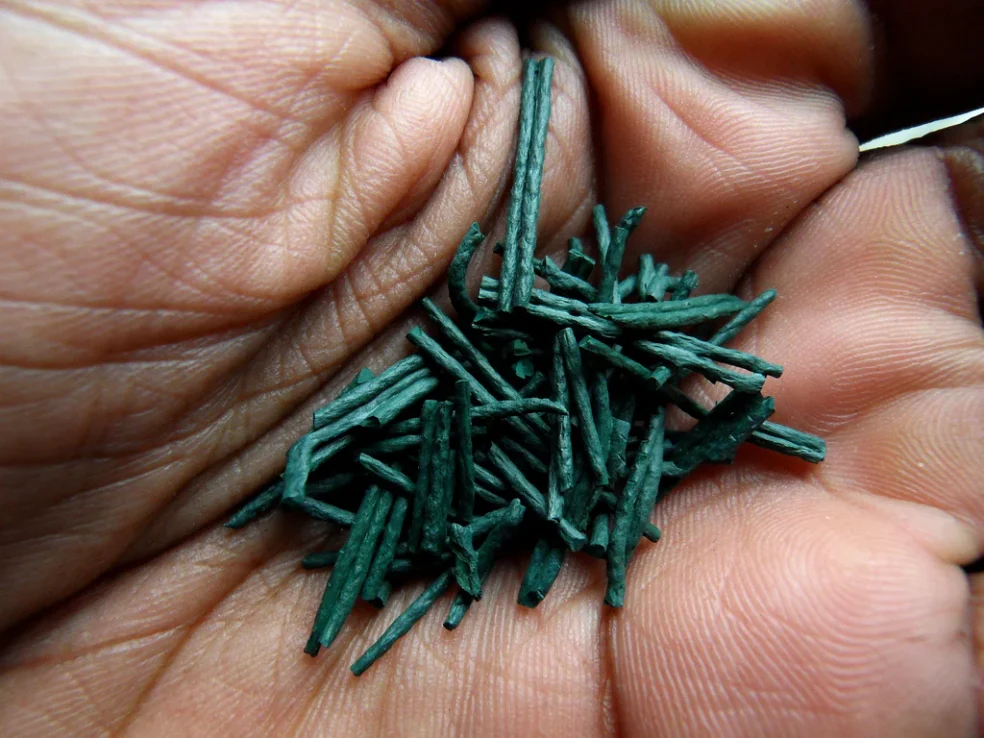 spirulina muscle recovery, spirulina athletic performance, iron for fitness