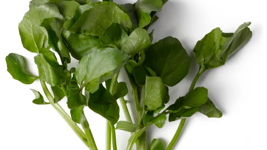 watercress nutrients, iodine-rich foods, watercress superfood
