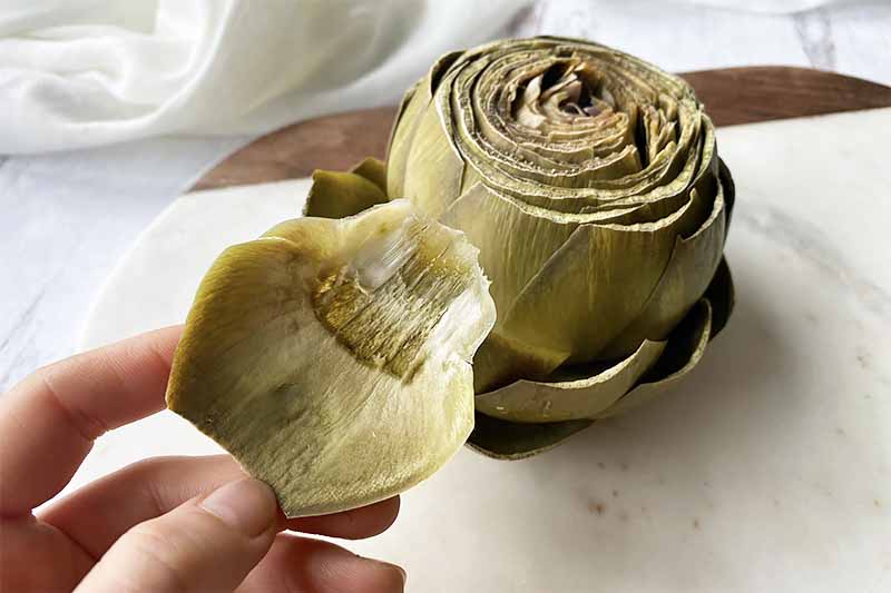lower cholesterol naturally, reduce cholesterol without statins, artichoke cholesterol benefits, natural statin alternatives, liver and cholesterol connection