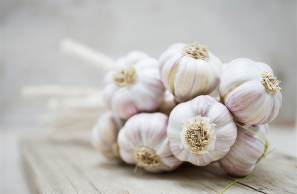 natural blood pressure treatment, garlic bulb hypertension, lower blood pressure naturally, avoid BP medication side effects, garlic vasodilation