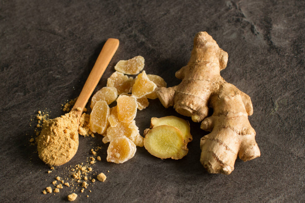 ginger heartburn natural relief, acid reflux motility dysfunction, ginger GERD treatment, natural heartburn remedies, esophageal function herbs