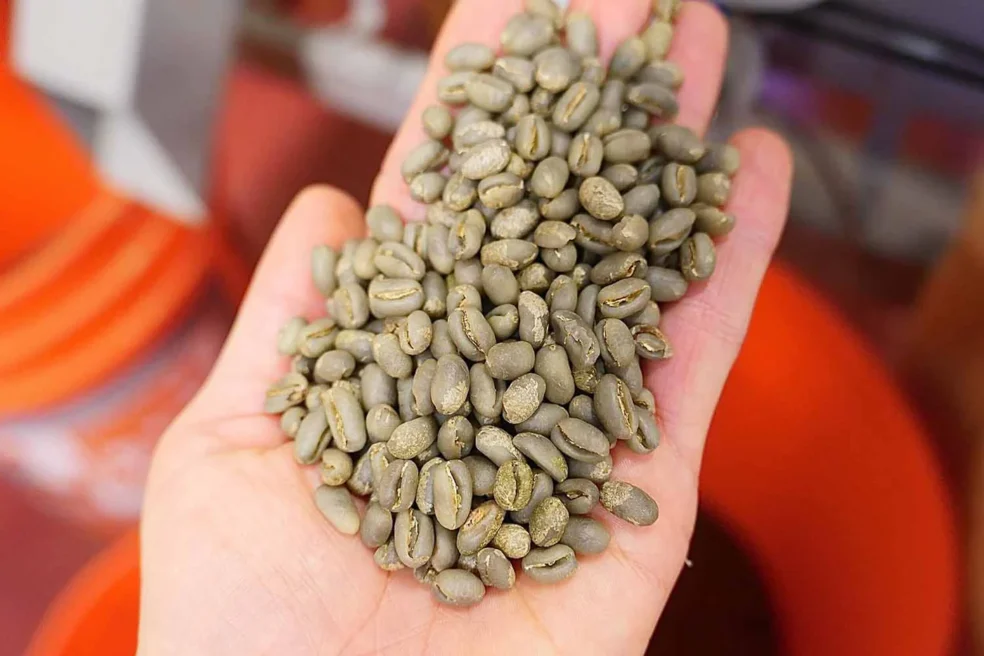 green coffee bean post stroke recovery, natural brain stimulation after stroke, green coffee bean neurological rehabilitation, improve cognitive function stroke naturally, green coffee bean nerve regeneration