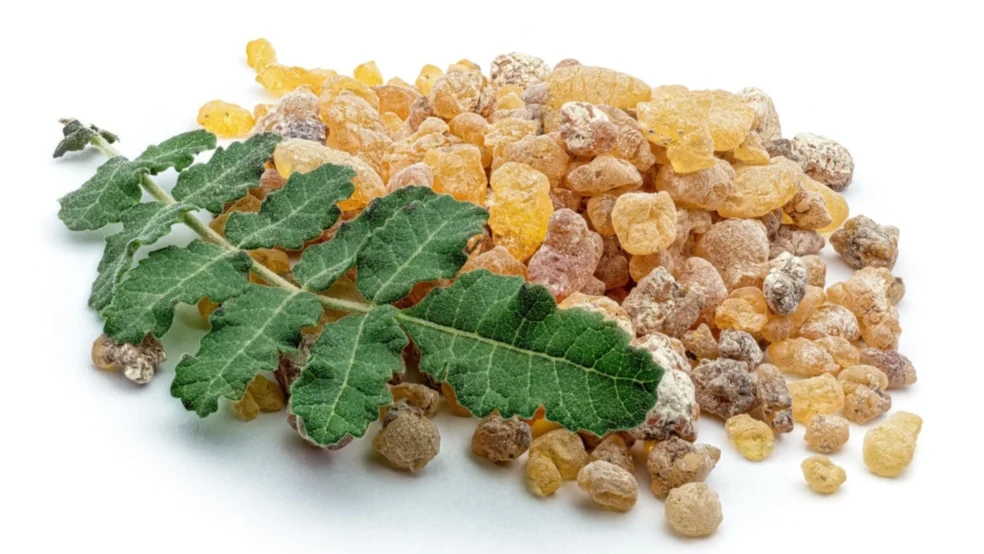 natural alternatives to painkillers, boswellia side effects vs NSAIDs, frankincense safe pain relief, herbal remedy for chronic pain, boswellia for osteoarthritis