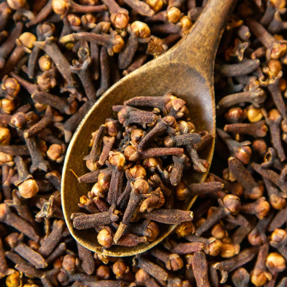 natural parasite cleanse, clove for parasites, herbal parasite treatment, signs of parasites in humans, clove herb medicinal uses