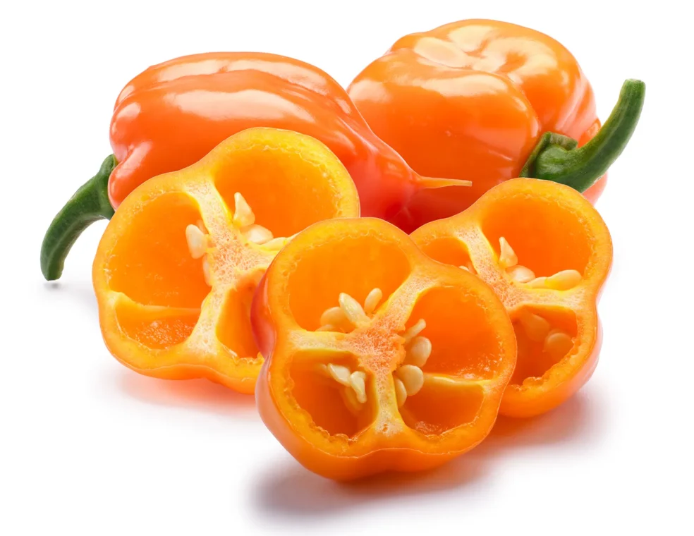 habanero pepper immune system, habanero pepper immunity boost, natural immune system herbs, habanero pepper antioxidants, boost immune system naturally Australia