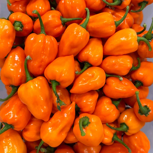 improve blood circulation naturally, habanero pepper circulation, natural remedies for poor circulation, herbs that boost blood flow