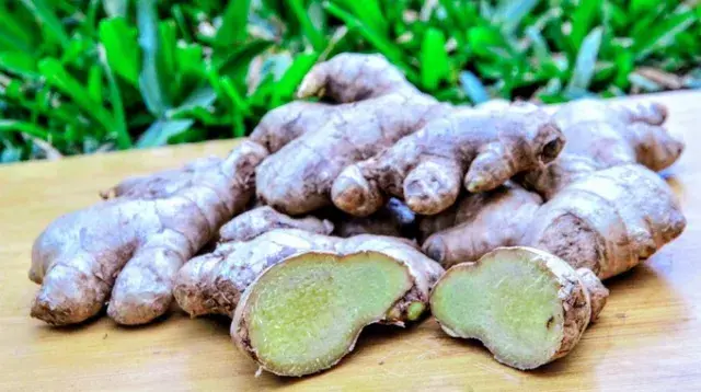 natural remedies rheumatoid arthritis vs osteoarthritis, ginger for rheumatoid arthritis, herbal treatment both types arthritis, reduce arthritis inflammation naturally